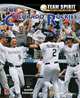 The Colorado Rockies (Team Spirit), Mark Stewart 