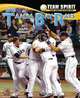 The Tampa Bay Rays (Team Spirit), Mark Stewart 