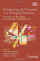 Entrepreneurial Processes in a Changing Economy: Frontiers in European Entrepreneurship Research (Frontiers in European Entrepreneurship series), Friederike Welter, David Smallbone, Anita Van Gils 