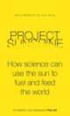 Project Sunshine, Tony Ryan, Steve McKevitt 
