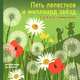 Пять лепестков и миллиард звезд.1, 2, 3, 4, 5 - учимся считать, Анн-Софи Боманн 
