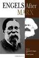 Engels After Marx, 