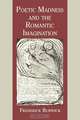 Poetic Madness and the Romantic Imagination, Frederick Burwick 