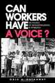 Can Workers Have a Voice?, Dale A. Hathaway 