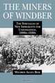 The Miners of Windber, Mildred Allen Beik 