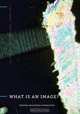 What Is an Image?, 