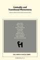Liminality and Transitional Phenomena (Chiron Clinical Series), Schwartz-Salant Nathan 