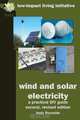Wind & Solar Electricity, Andy Reynolds 
