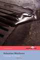 Coming To Flood (The Hollyridge Press Chapbook Series), Sebastian Matthews 