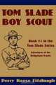 Tom Slade, Boy Scout, Percy Keese Fitzhugh 