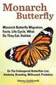 Monarch Butterfly, Monarch Butterfly Migration, Facts, Life Cycle, What Do They Eat, Habitat, Anatomy, Breeding, Milkweed, Predators, Harry Goldcroft 