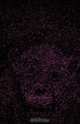 Seeing the Unseen, Mathew D. Staunton 