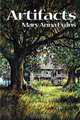 Artifacts, Mary Anna Evans 