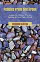 Pebbles from the Brook, Richard Newton 