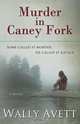 Murder in Caney Fork, Wally Avett 