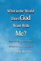 What in the World Does God Want with Me?, David E. Bloyd 