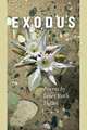 Exodus, Janet Ruth Heller 