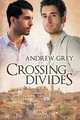 Crossing Divides, Andrew Grey 
