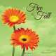Free to Fall, Bethany Moore 