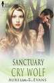 Sanctuary, Aurelia T. Evans 