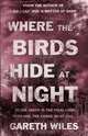 Where the Birds Hide at Night, Gareth Wiles 
