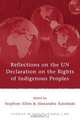 Reflections on the UN Declaration on the Rights of Indigenous Peoples, 