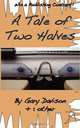 Tale of Two Halves, Gary Davison 
