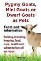 Pygmy Goats as Pets. Pygmy Goats, Mini Goats or Dwarf Goats, Elliott Lang 