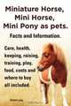 Miniature Horse, Mini Horse, Mini Pony as pets. Facts and Information. Miniature horses care, health, keeping, raising, training, play, food, costs and where to buy all included., Elliott Lang 