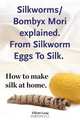 Silkworm/Bombyx Mori explained. From Silkworm Eggs To Silk. How to make silk at home. Raising silkworms, the mulberry silkworm, bombyx mori, where to buy silkworms all included., Elliott Lang 