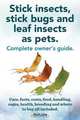 Stick insects, stick bugs and leaf insects as pets. Stick insects care, facts, costs, food, handling, cages, health, breeding and where to buy all included., Elliott Lang 