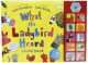 What Ladybird Heard Sound Book, Julia Donaldson 