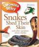 I Wonder Why Snakes Shed Their Skin, Amanda O'Neill 