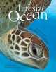 Lifesize Ocean, Anita Ganeri 