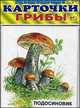 Развивающие карточки. Грибы (12 карточек), 