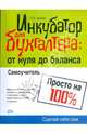 Инкубатор для бухгалтера: от нуля до баланса. Самоучитель. 2-е изд., перераб. и доп., Диркова Елена Юрьевна 