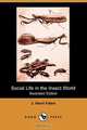 Social Life in the Insect World (Illustrated Edition) (Dodo Press), Jean-Henri Fabre 