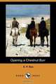 Opening a Chestnut Burr (Dodo Press), Edward Payson Roe 