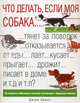 Что делать, если моя собака..., Джим Эванс 