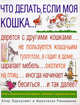Что делать, если моя кошка..., Клэр Эрроусмит и Франческа Риккомини 