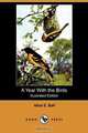 A Year with the Birds (Illustrated Edition) (Dodo Press), Alice E. Ball 
