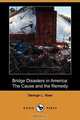 Bridge Disasters in America, George Leonard Vose 