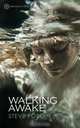 Walking Awake, Steve Ford 