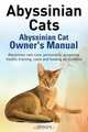 Abyssinian Cats. Abyssinian Cat Owner