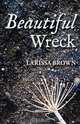 Beautiful Wreck, Larissa Brown 