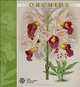 Orchids 2014 Calendar, 