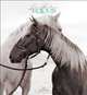 Equus 2014 Calendar, 