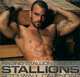 Raging Stallion Studios: Stallions 2013 Wall Calendar, Kent Taylor - Raging Stallion Studios 