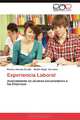 Experiencia Laboral: Acercamiento de Jovenes Universitarios a las Empresas (Spanish Edition), Romina Vanesa Cerdan, Ruben Edgar Corvalan 
