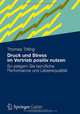 Druck und Stress im Vertrieb positiv nutzen: So steigern Sie berufliche Performance und Lebensqualitat (German Edition), Thomas Trilling 